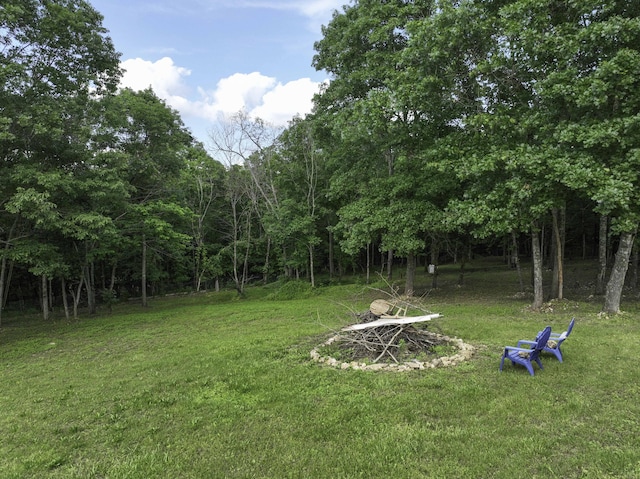 145 Allison Bnd, Lampe, MO 65681 - view of green lawn