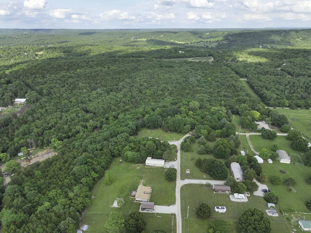 145 Allison Bnd, Lampe, MO 65681 - aerial view of a forest