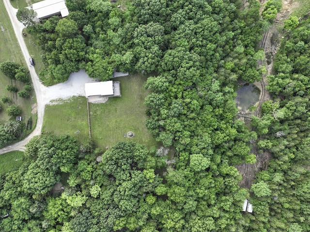 145 Allison Bnd, Lampe, MO 65681 - view of property location