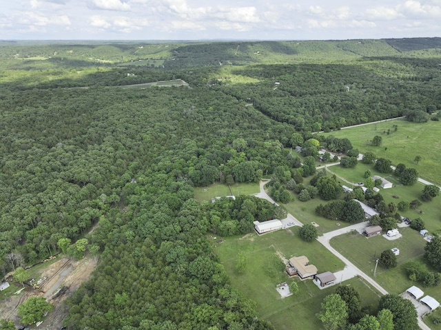 145 Allison Bnd, Lampe, MO 65681 - view of property location with a heavily wooded area