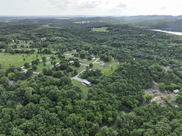 145 Allison Bnd, Lampe, MO 65681 - aerial view of a forest