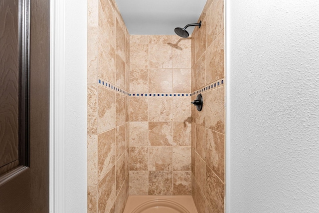 26237 Twin Rivers Dr, Shell Knob, MO 65747 - bathroom featuring tiled shower