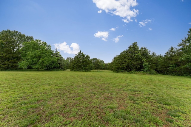 419 Wyldewood Dr, Fordland, MO 65652 - view of green lawn with a forest view