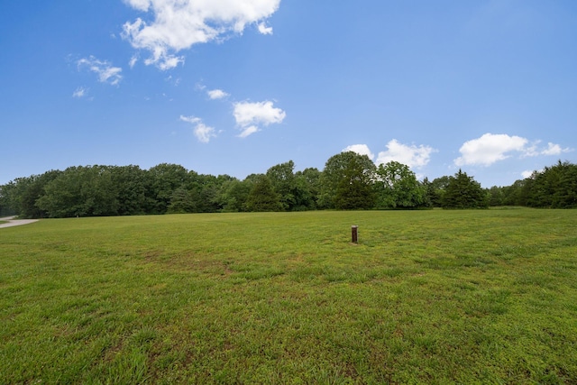 419 Wyldewood Dr, Fordland, MO 65652 - view of green lawn featuring a forest view