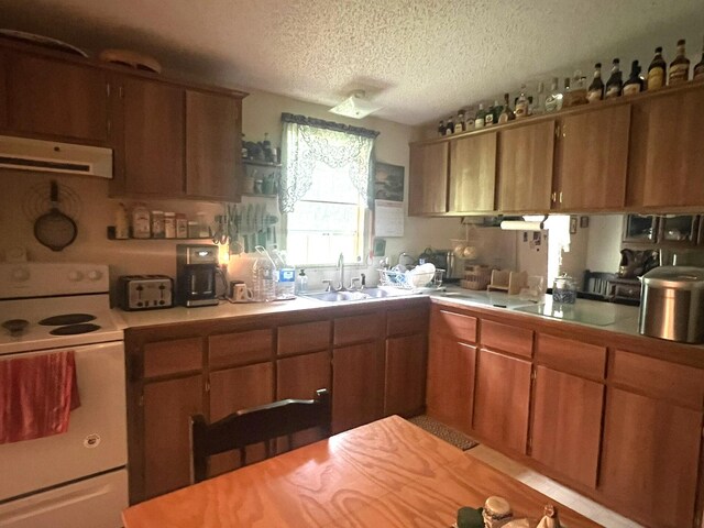 1615 E 562nd Rd, Brighton, MO 65617 - kitchen with electric stove, ventilation hood, light countertops, a textured ceiling, and a sink