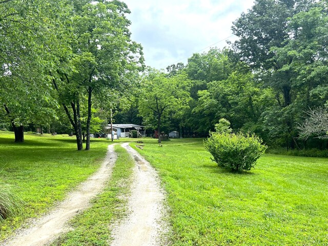1615 E 562nd Rd, Brighton, MO 65617 - view of dirt / gravel driveway