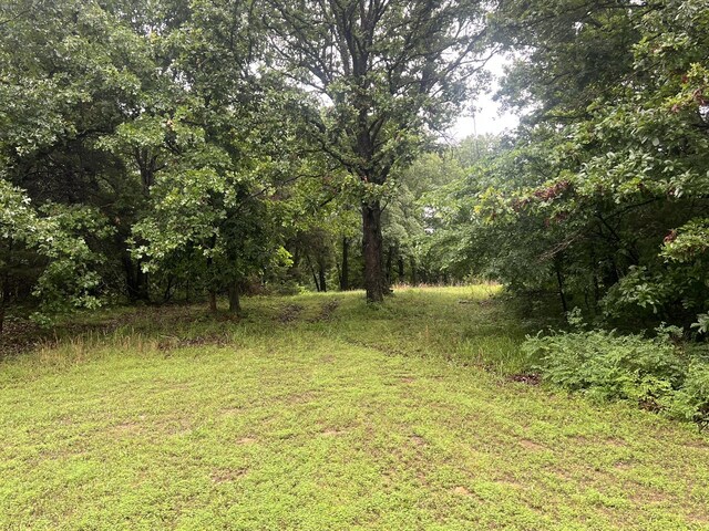 1615 E 562nd Rd, Brighton, MO 65617 - view of tree filled area