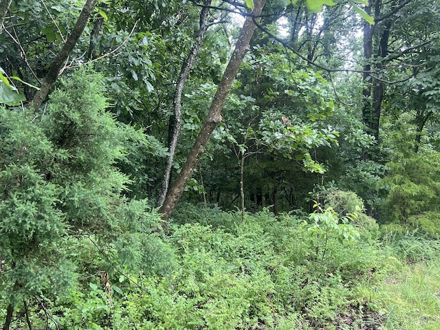 1615 E 562nd Rd, Brighton, MO 65617 - view of tree filled area