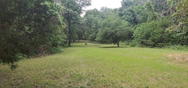 1615 E 562nd Rd, Brighton, MO 65617 - view of green lawn with a forest view