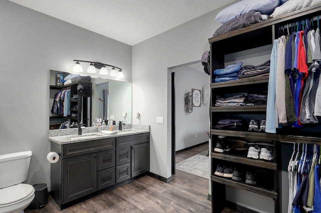 22510 Lawrence Unit 1200, Aurora, MO 65605 - bathroom featuring double vanity, wood finished floors, toilet, a walk in closet, and baseboards
