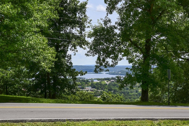 102 James River Rd, Kimberling City, MO 65686 - photo 2