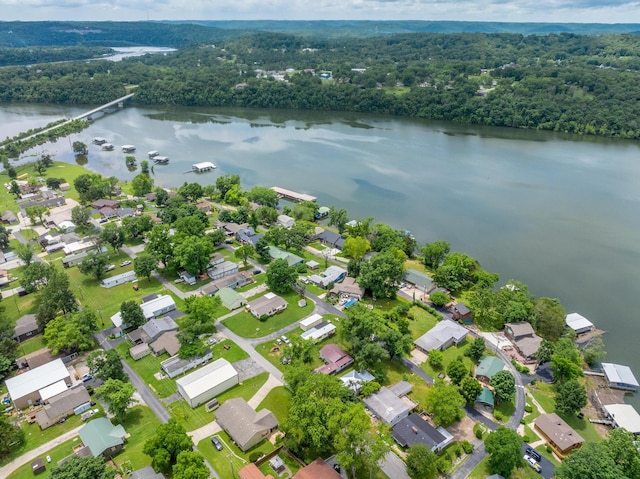 166 Seaman St, Cape Fair, MO 65624 - aerial perspective of suburban area featuring a large body of water and a heavily wooded area