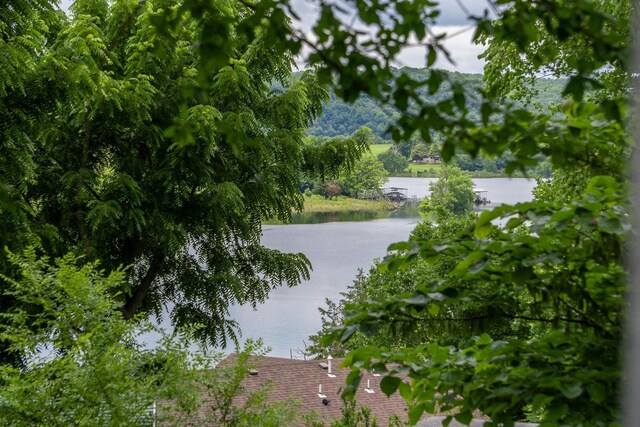 166 Seaman St, Cape Fair, MO 65624 - water view