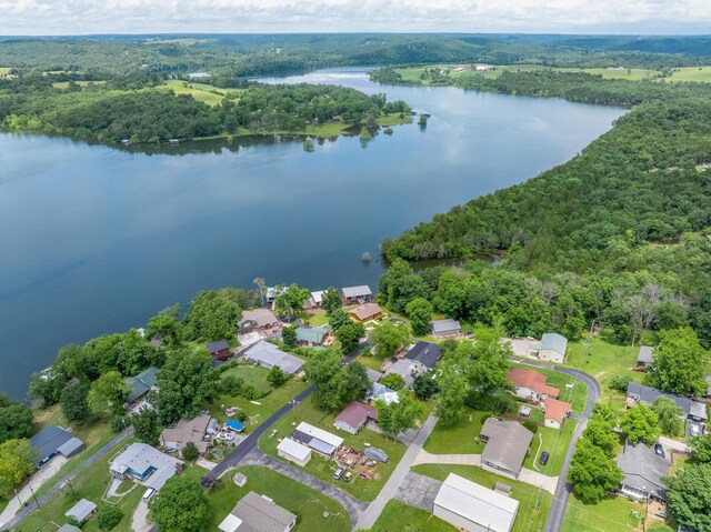 166 Seaman St, Cape Fair, MO 65624 - aerial view of residential area featuring a forest and a nearby body of water