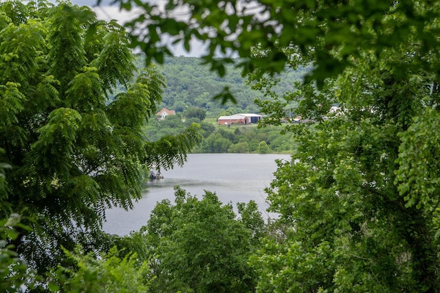 166 Seaman St, Cape Fair, MO 65624 - water view with a forest