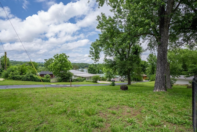 166 Seaman St, Cape Fair, MO 65624 - view of green lawn