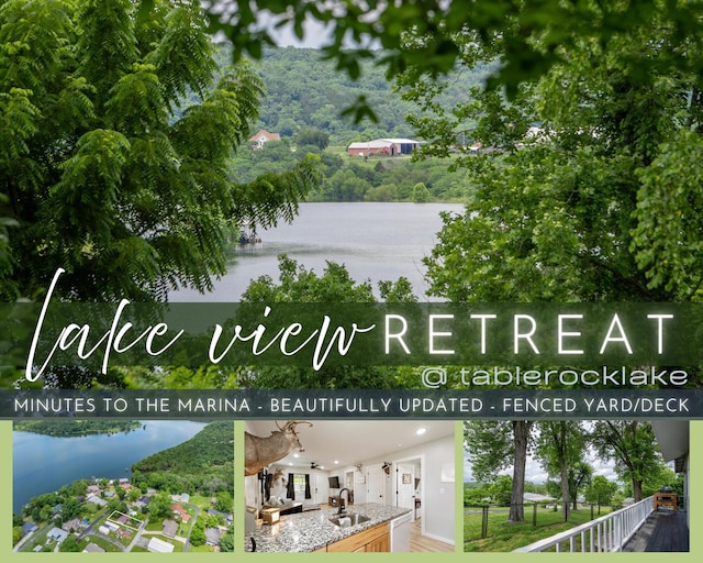 166 Seaman St, Cape Fair, MO 65624 - view of marketing collateral with multiple images