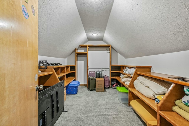 1915 S Farm Rd Unit 219, Springfield, MO 65809 - additional living space featuring carpet, vaulted ceiling, and a textured ceiling