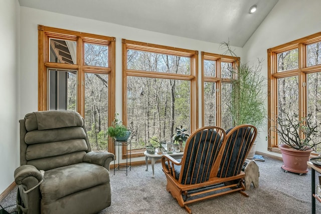 1915 S Farm Rd Unit 219, Springfield, MO 65809 - sunroom / solarium with vaulted ceiling