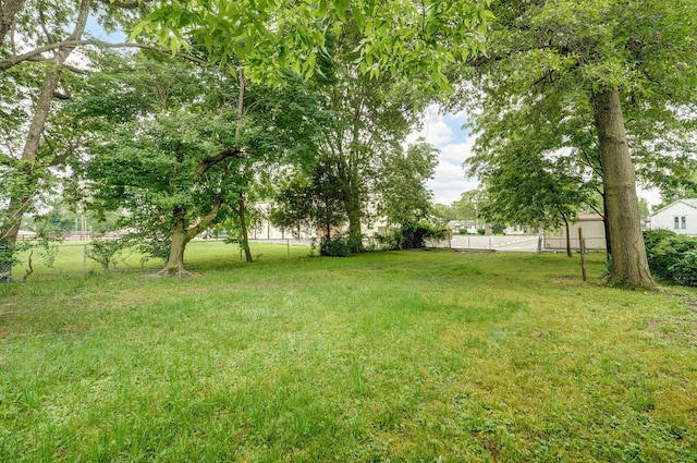 1516 W Lee St, Springfield, MO 65803 - photo 24