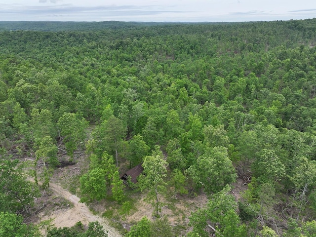 000 County Road 320, Ellington, MO 63638 - photo 13
