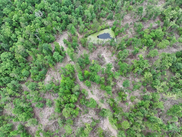 000 County Road 320, Ellington, MO 63638 - photo 9