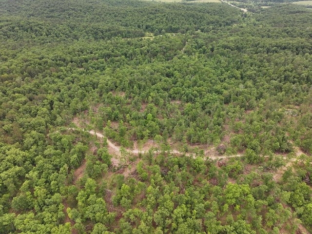 000 County Road 320, Ellington, MO 63638 - photo 18