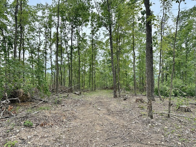 000 County Road 320, Ellington, MO 63638 - photo 7