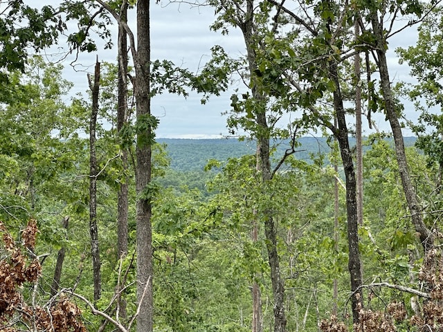 000 County Road 320, Ellington, MO 63638 - photo 5