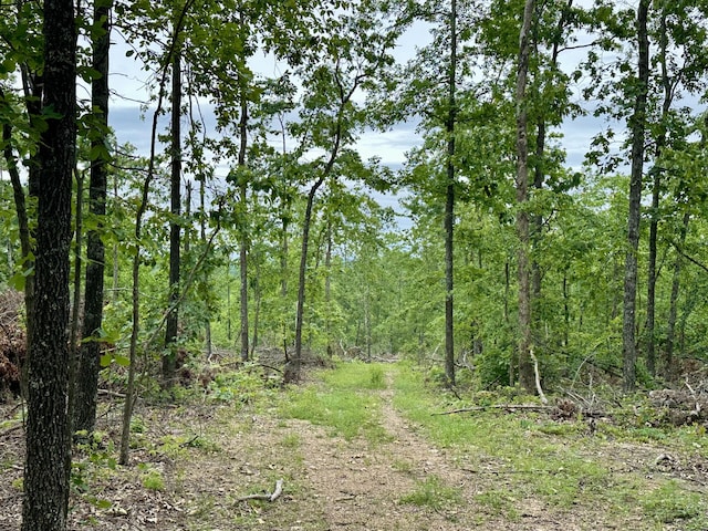 000 County Road 320, Ellington, MO 63638 - photo 6