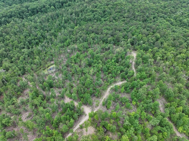 000 County Road 320, Ellington, MO 63638 - photo 19