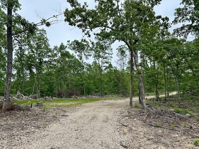 000 County Road 320, Ellington, MO 63638 - photo 2