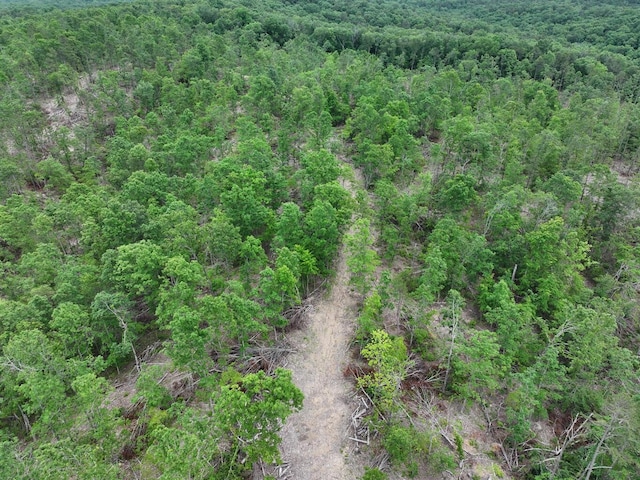 000 County Road 320, Ellington, MO 63638 - photo 10