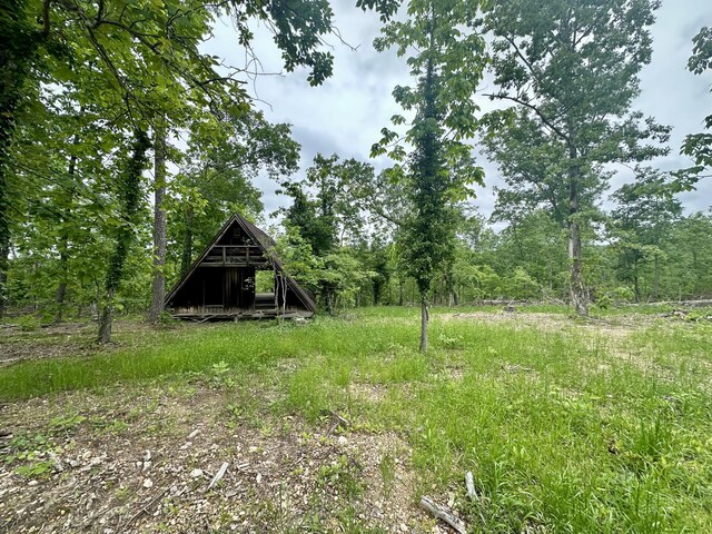 000 County Road 320, Ellington, MO 63638 - photo 14