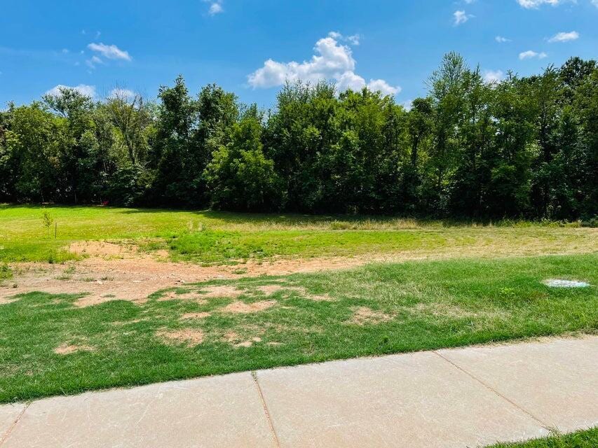 4728 Forest Trails Dr Lot # 29, Springfield, MO 65809 - photo 3