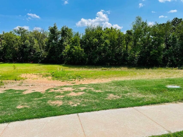 4728 Forest Trails Dr Lot # 29, Springfield, MO 65809 - photo 3