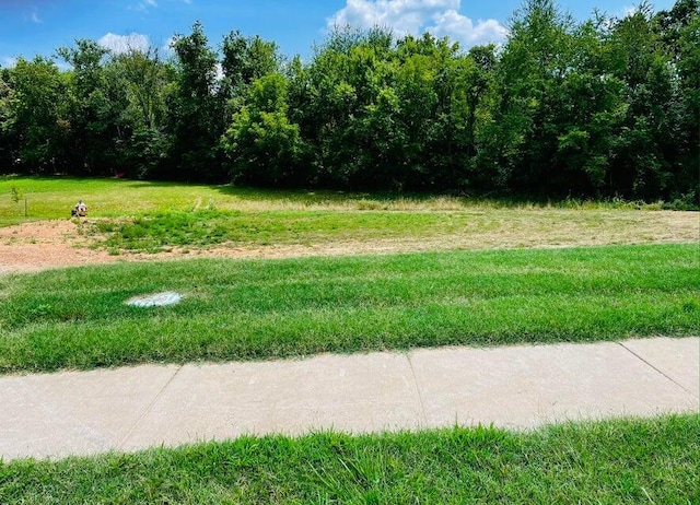 4728 Forest Trails Dr Lot # 29, Springfield, MO 65809 - photo 2