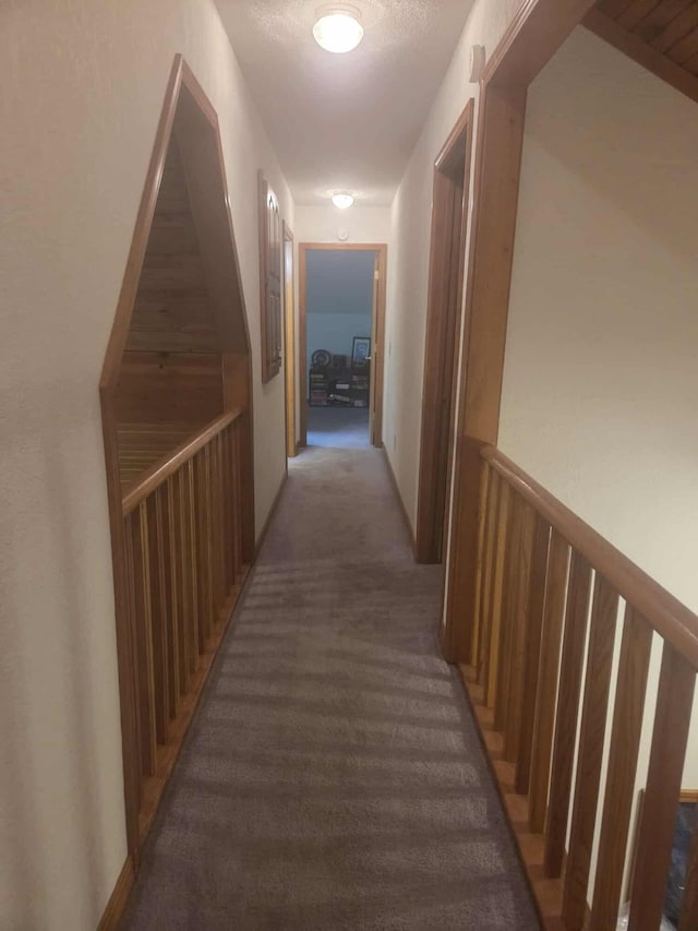 108 Prince St, Buffalo, MO 65622 - hall featuring carpet floors