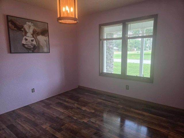 108 Prince St, Buffalo, MO 65622 - empty room with dark wood-type flooring
