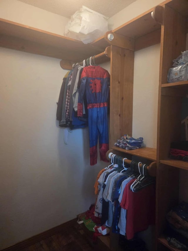 108 Prince St, Buffalo, MO 65622 - view of walk in closet