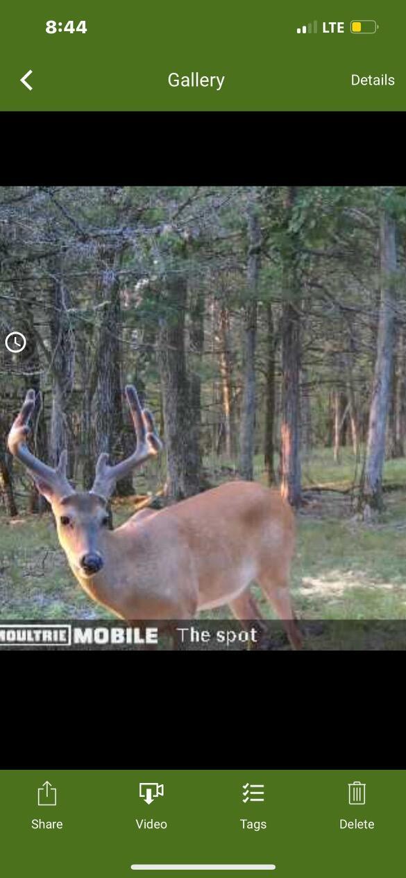000 Sunny Slope Dr, Crane, MO 65633