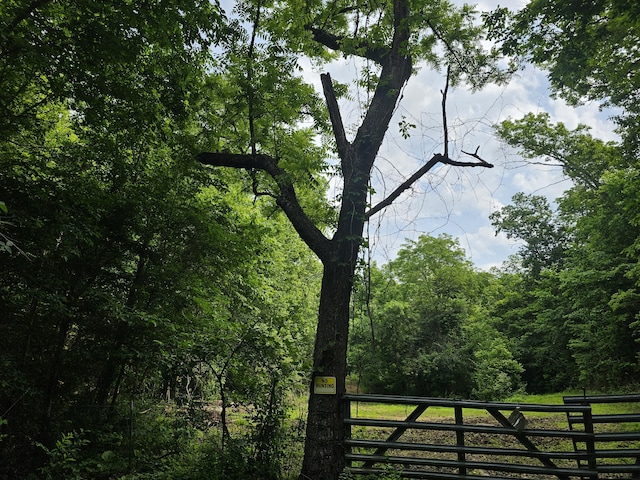 000 Sunny Slope Dr, Crane, MO 65633