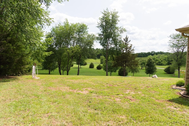 1762 Hickory Ridge Cir, Nixa, MO 65714 - view of grassy yard