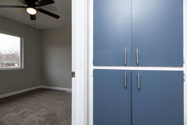 304 Rice St, Nixa, MO 65714 - view of closet