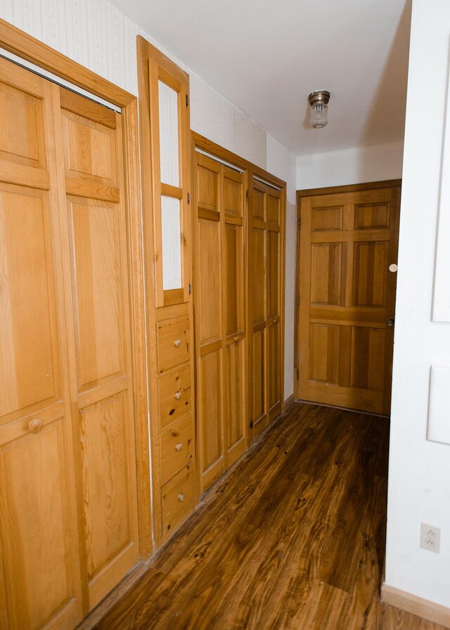 19429 E State Highway 14, Ava, MO 65608 - hallway with dark wood-type flooring