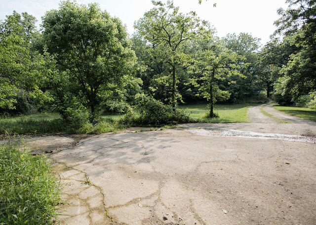 19429 E State Highway 14, Ava, MO 65608 - view of road featuring a forest view