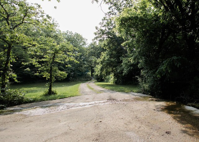 19429 E State Highway 14, Ava, MO 65608 - view of road with a wooded view