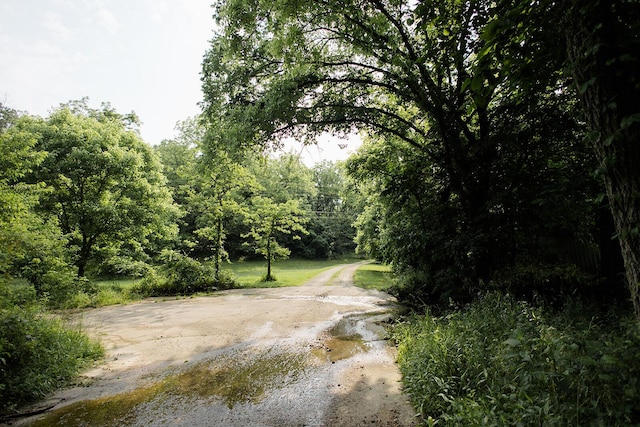 19429 E State Highway 14, Ava, MO 65608 - view of dirt / gravel road with a view of trees