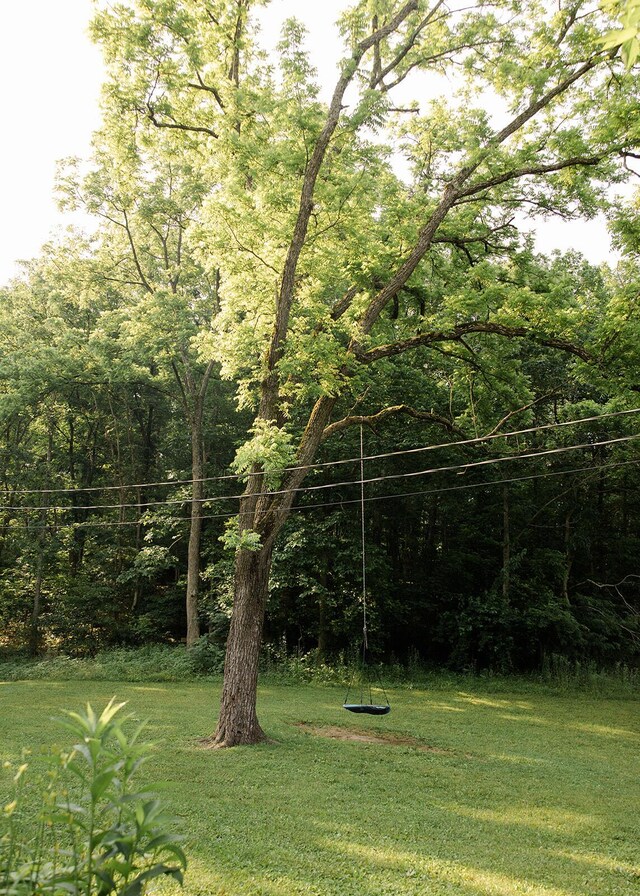 19429 E State Highway 14, Ava, MO 65608 - view of grassy yard featuring a forest view