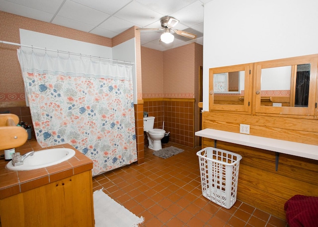 19429 E State Highway 14, Ava, MO 65608 - full bathroom with tile patterned flooring, wainscoting, wallpapered walls, vanity, and toilet